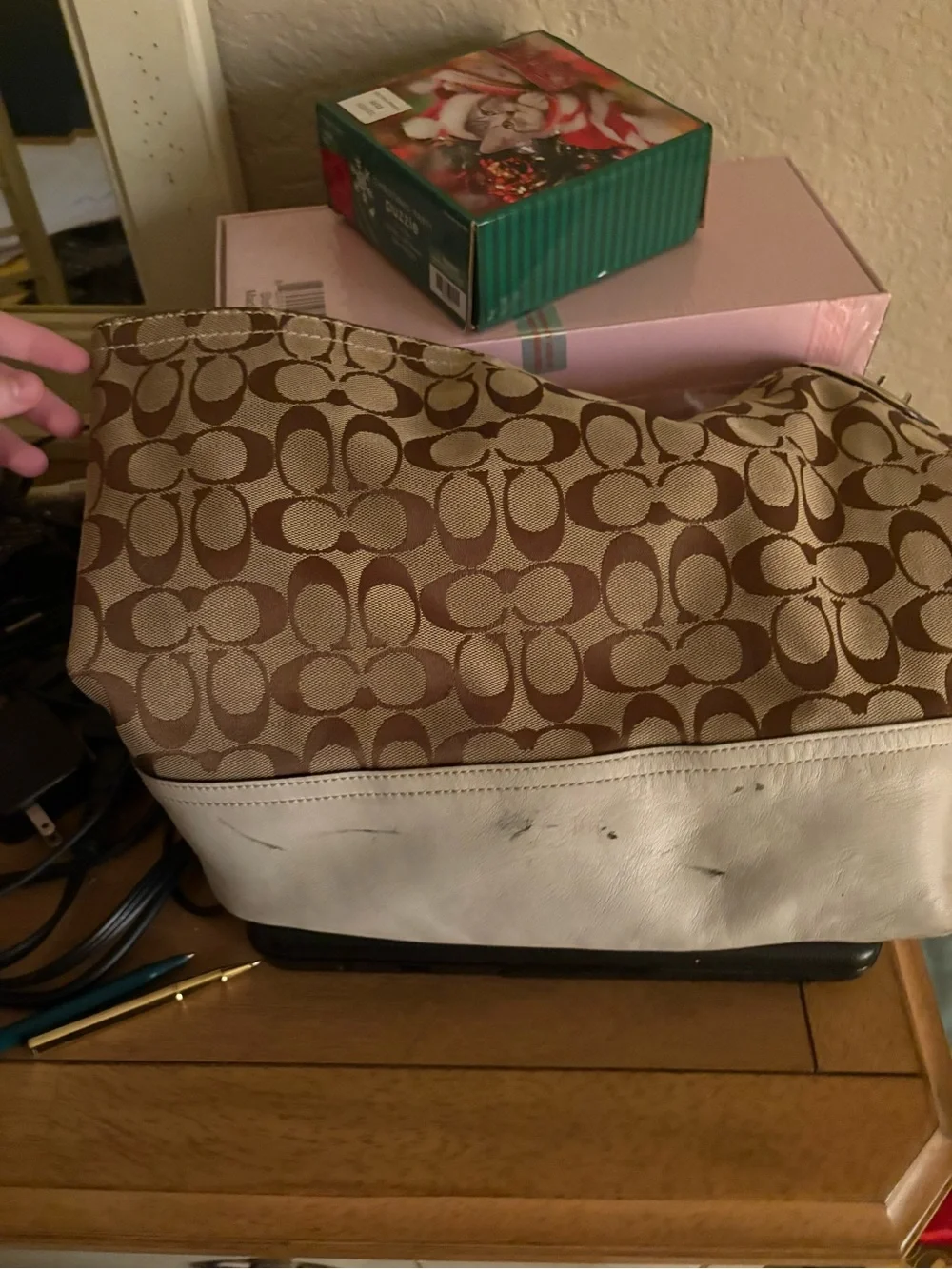 Coach Signature Canvas Hobo Bag in Brown and Cream